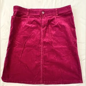 The North Face Women’s Skirt